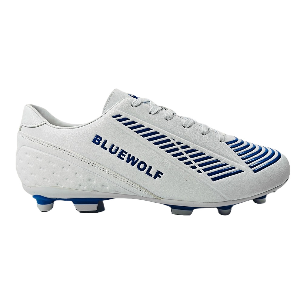 BlueWolf Artboard 2-80